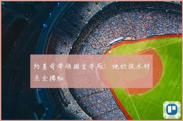 约基奇带领掘金夺冠：他的技术特点全揭秘