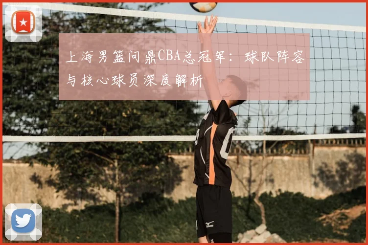 上海男篮问鼎CBA总冠军：球队阵容与核心球员深度解析